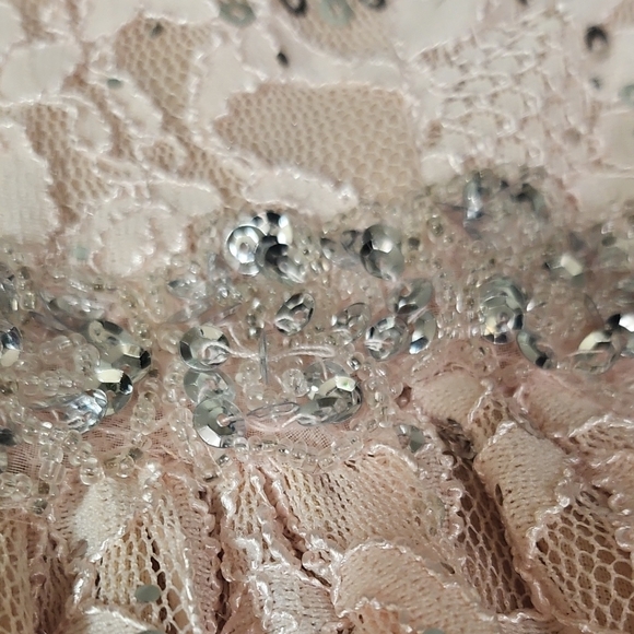 Elegant Lace Dress with Sequin Details - Picture 3 of 9